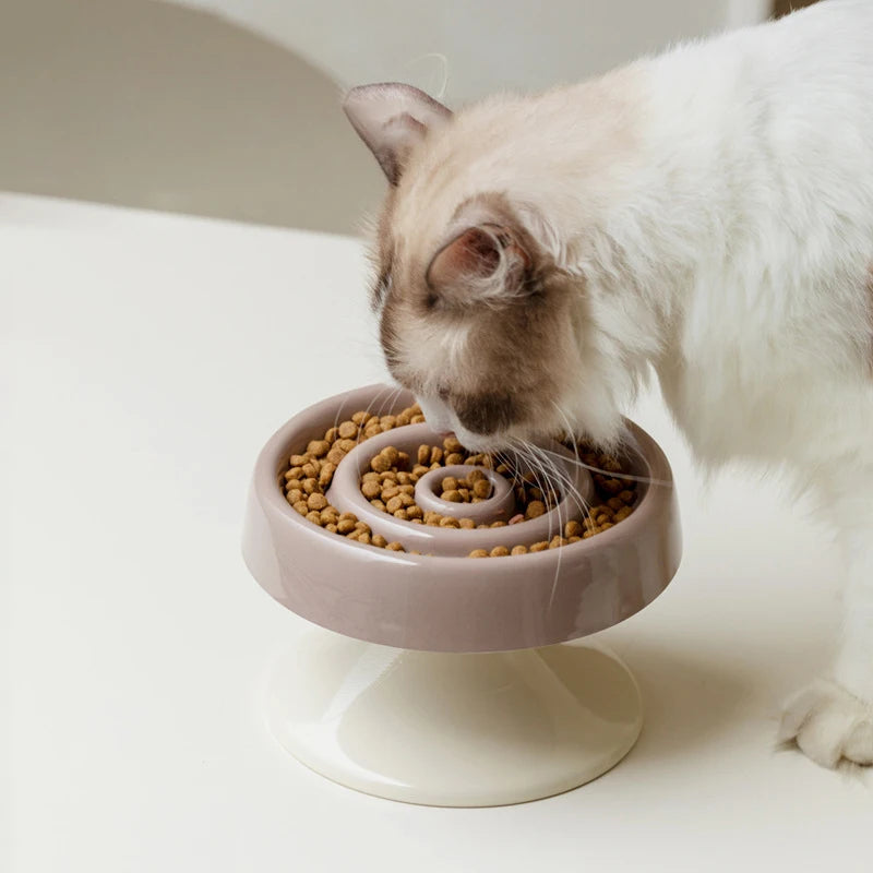 Chat qui mange dans la gamelle anti-glouton