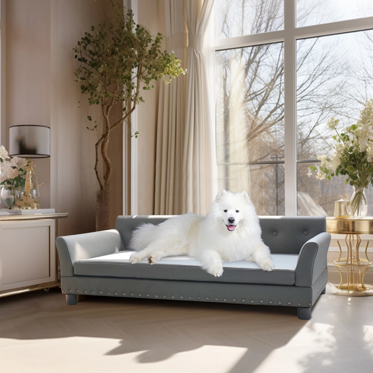 Chien blanc sur le canapé gris près de la fenêtre