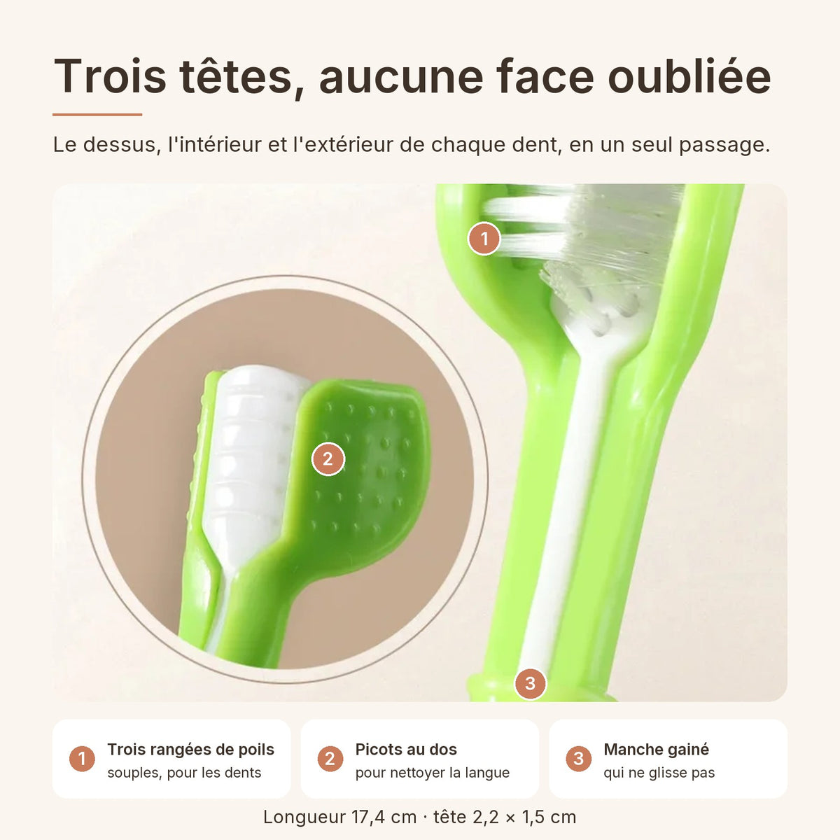 Brosse à dents à trois têtes : poils souples, picots au dos pour la langue, manche gainé