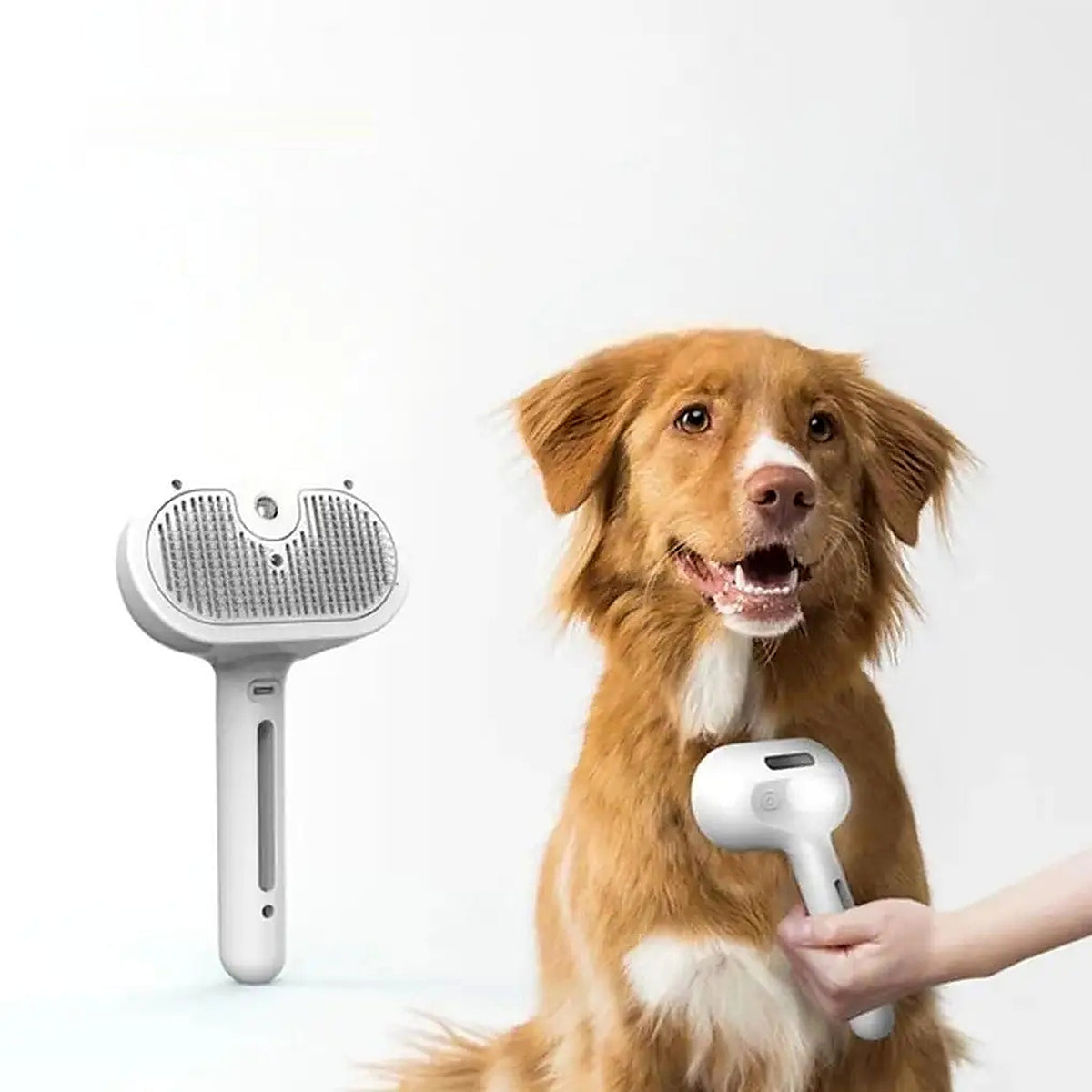 Brosse vapeur utilisée sur un chien à poil long