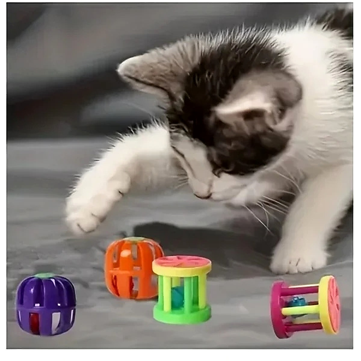 Chaton qui joue avec les balles à grelot du coffret