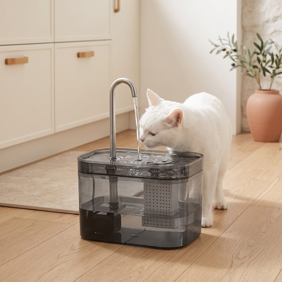 Chat blanc qui boit à la fontaine 1,5 L dans une cuisine