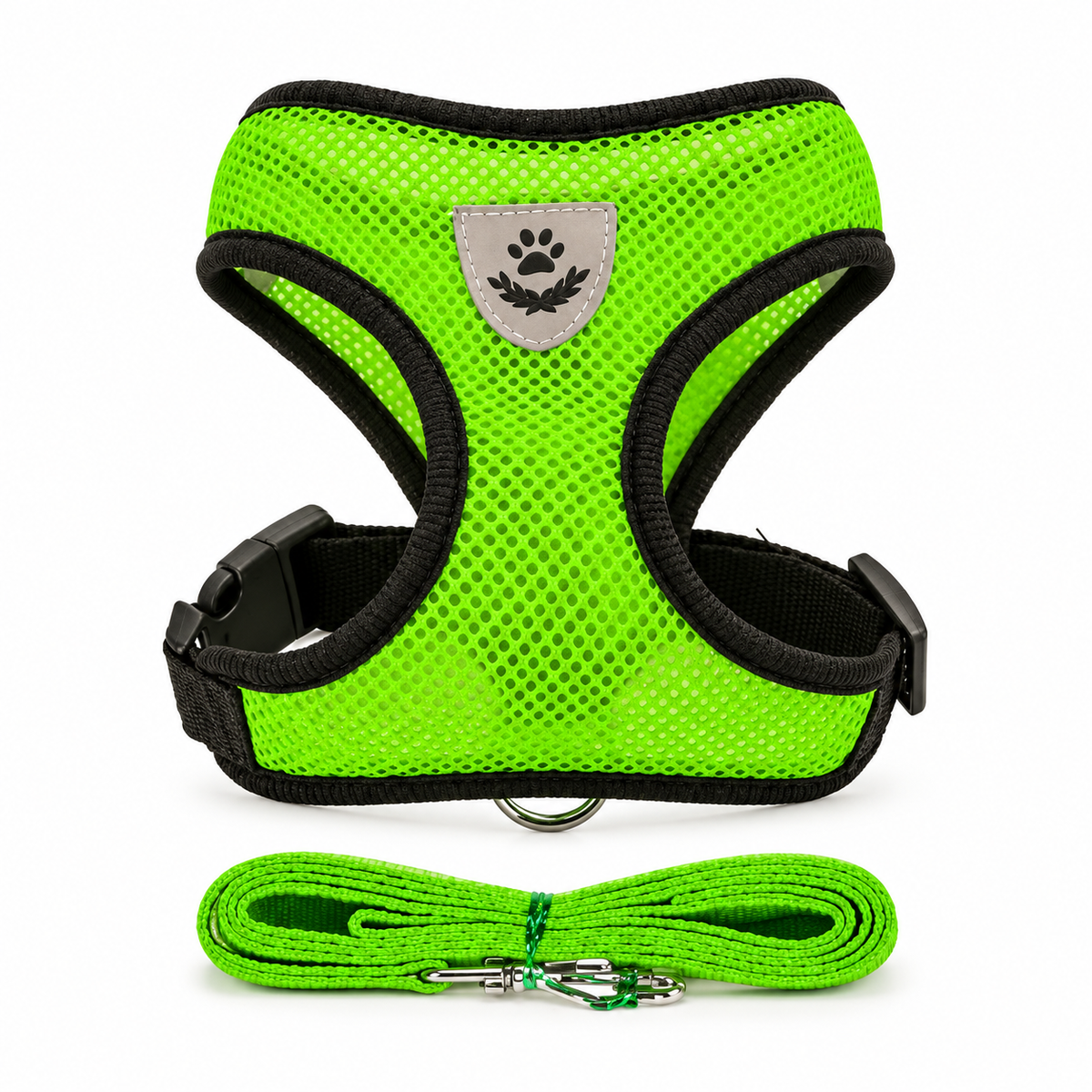 Harnais en maille vert et laisse assortie — photo studio sur fond blanc