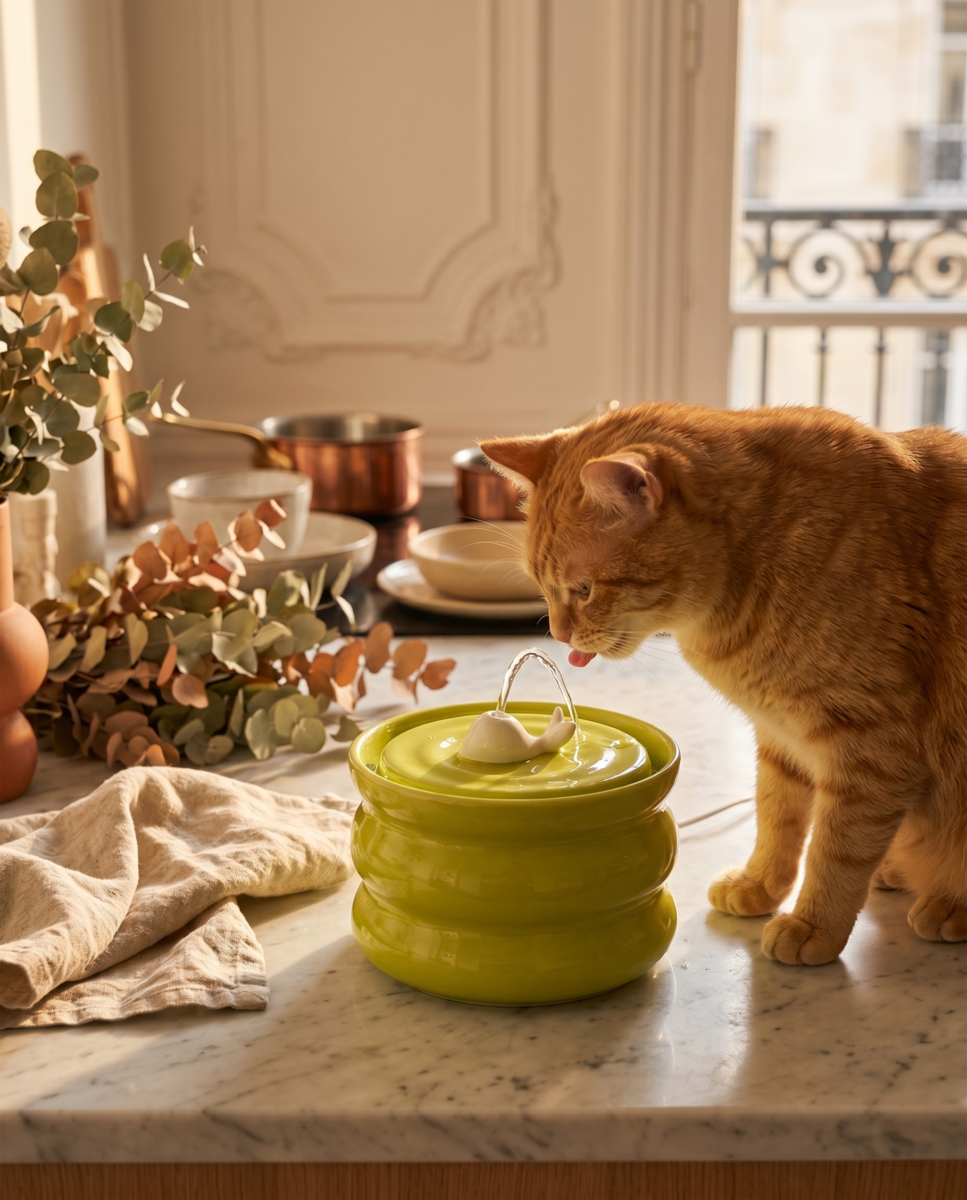 Fontaine à eau en céramique pour chat