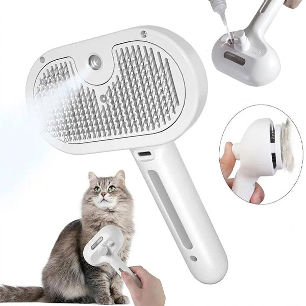 Toilettage d'un chat à poils longs à la maison : routine et astuces