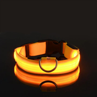 Collier LED jaune