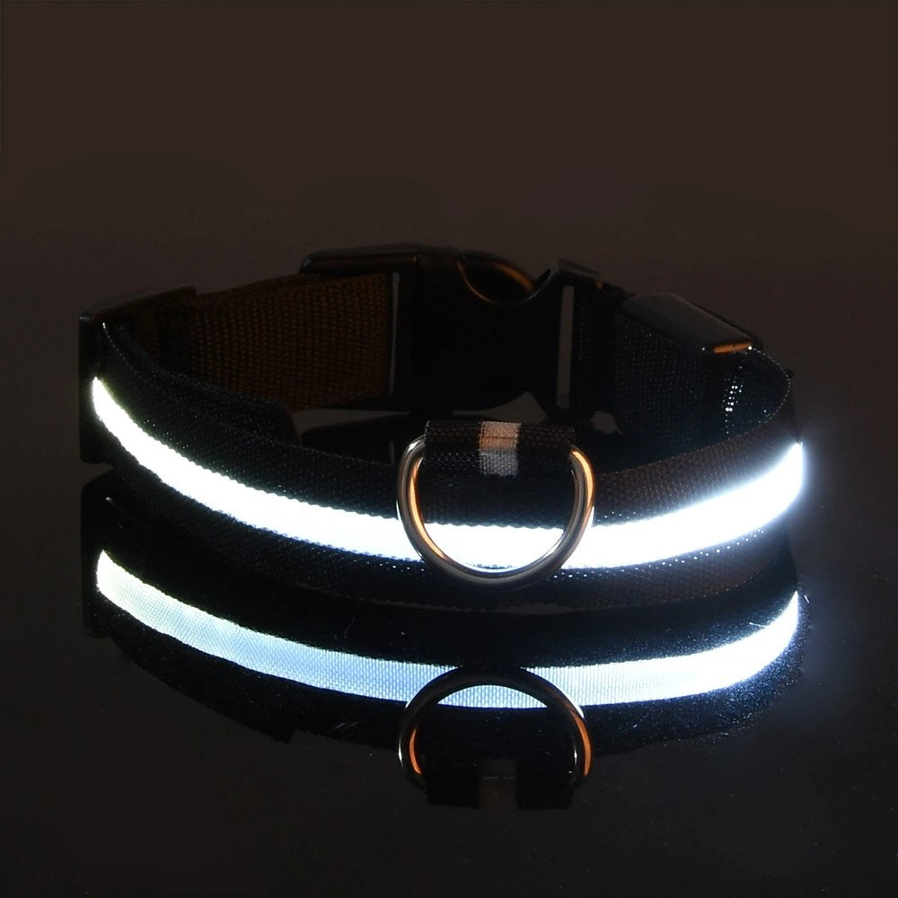 Collier LED blanc