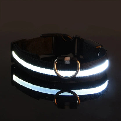 Collier LED blanc
