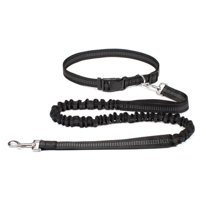 Laisse mains-libres pour chien coloris Noir avec ceinture running réglable | Douce Patte