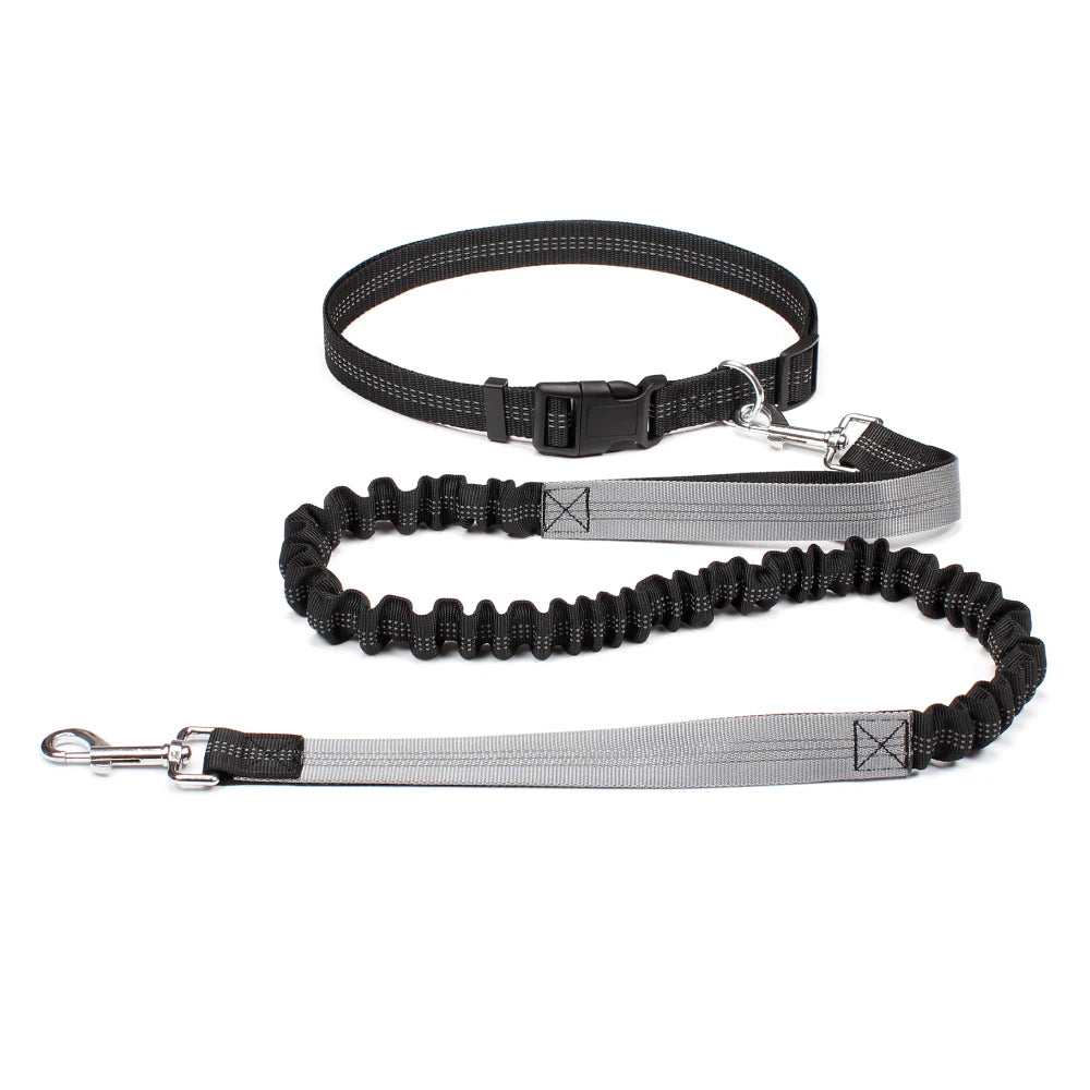 Laisse mains-libres pour chien coloris Gris avec ceinture running | Douce Patte