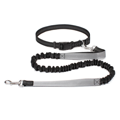 Laisse mains-libres pour chien coloris Gris avec ceinture running | Douce Patte