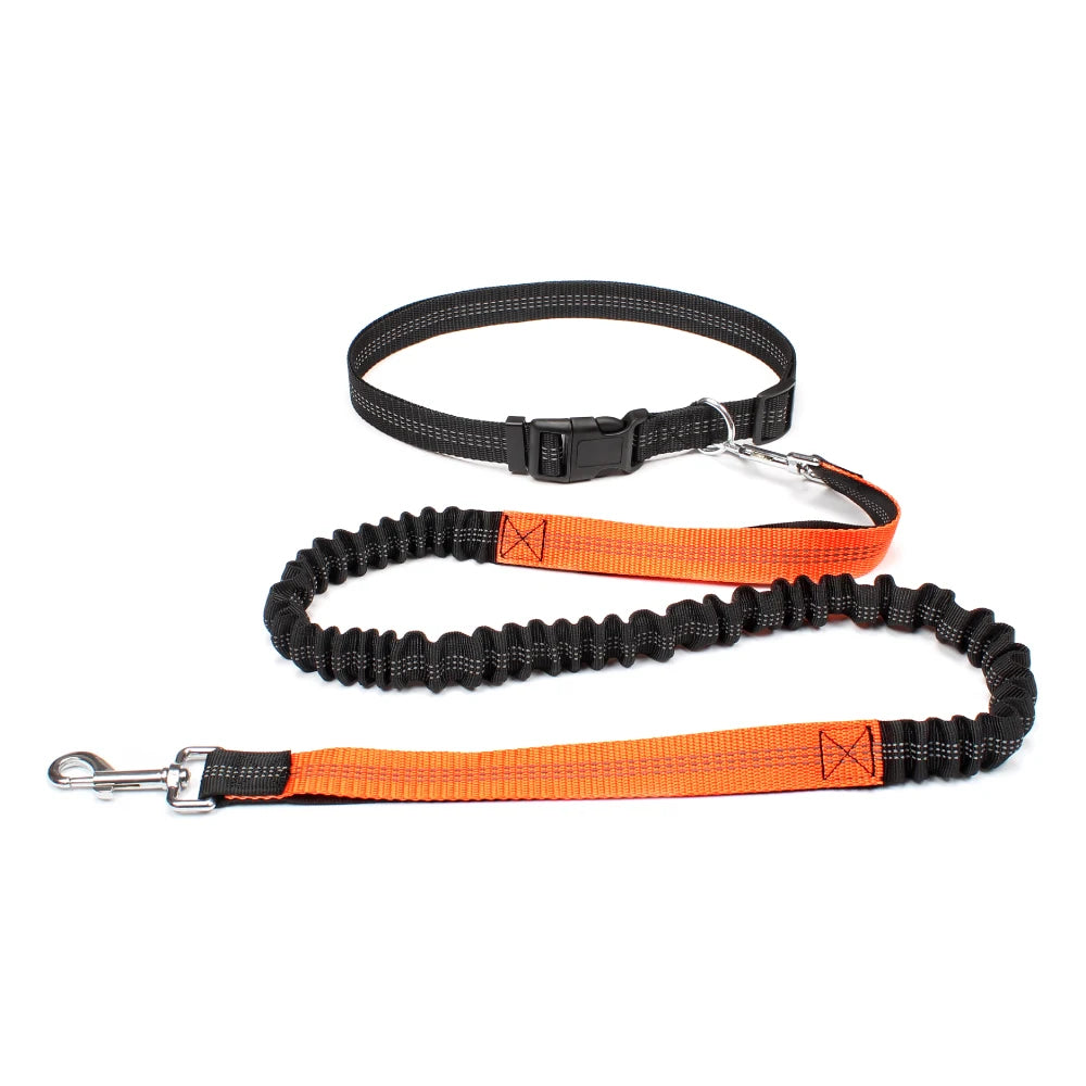 Laisse mains-libres pour chien coloris Orange avec ceinture running | Douce Patte