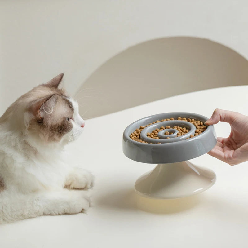 Chat près de la gamelle surélevée en céramique gris clair