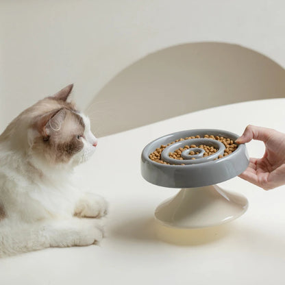 Chat près de la gamelle surélevée en céramique gris clair