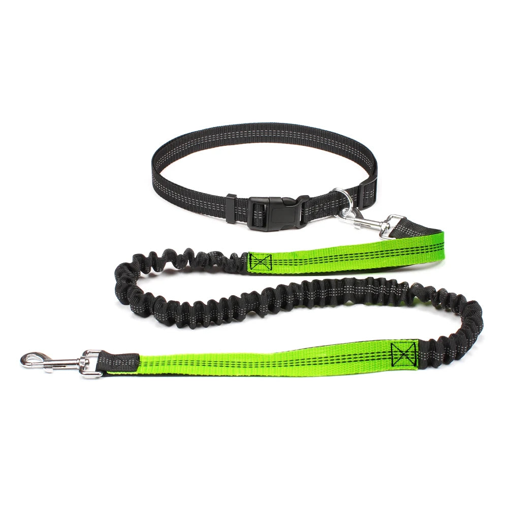 Laisse mains-libres pour chien coloris Vert avec ceinture running | Douce Patte