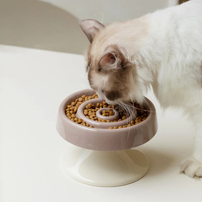 Chat qui mange dans la gamelle anti-glouton