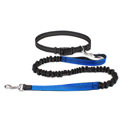 Laisse mains-libres pour chien coloris Bleu avec ceinture running | Douce Patte