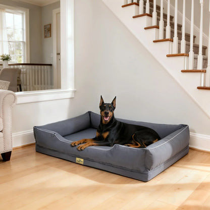 Dobermann couché sur le canapé-lit gris au pied de l'escalier