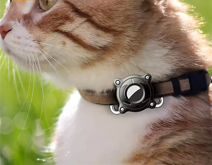 Chat portant le support AirTag sur son collier