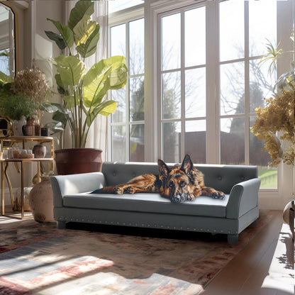 Canapé pour chien gris dans un intérieur avec plantes