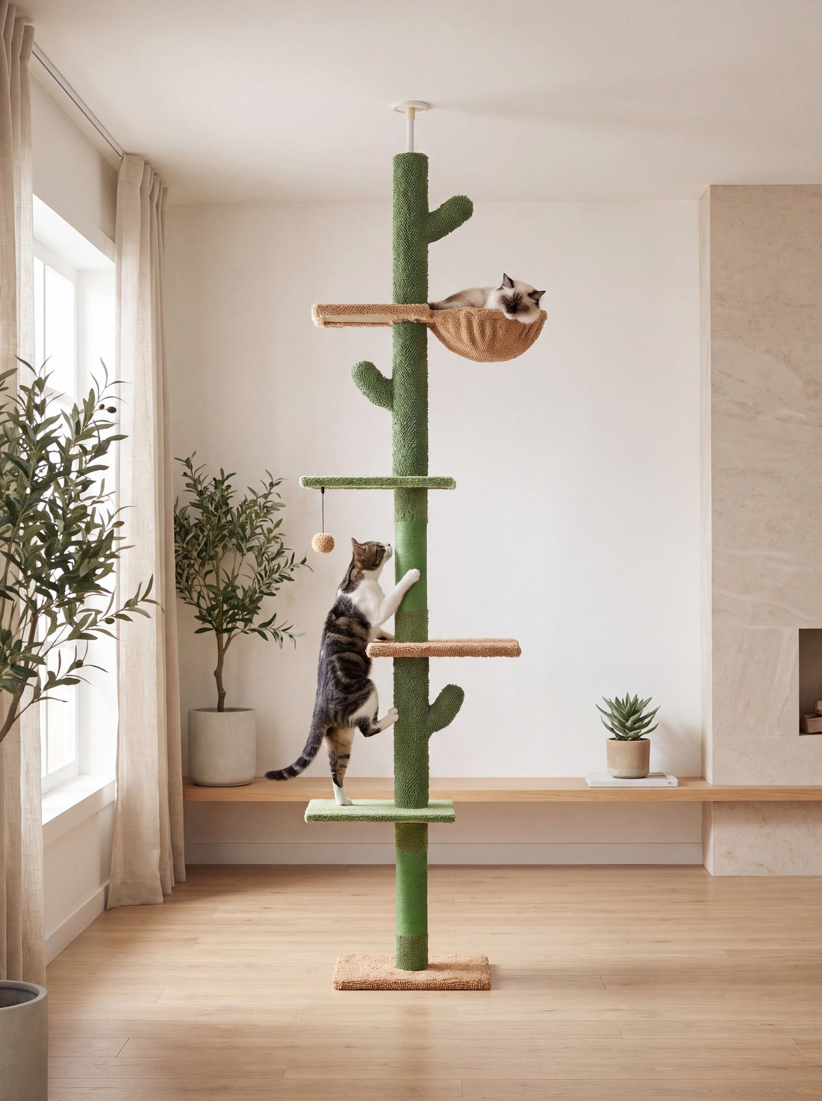 Chats sur l'arbre à chat cactus du sol au plafond