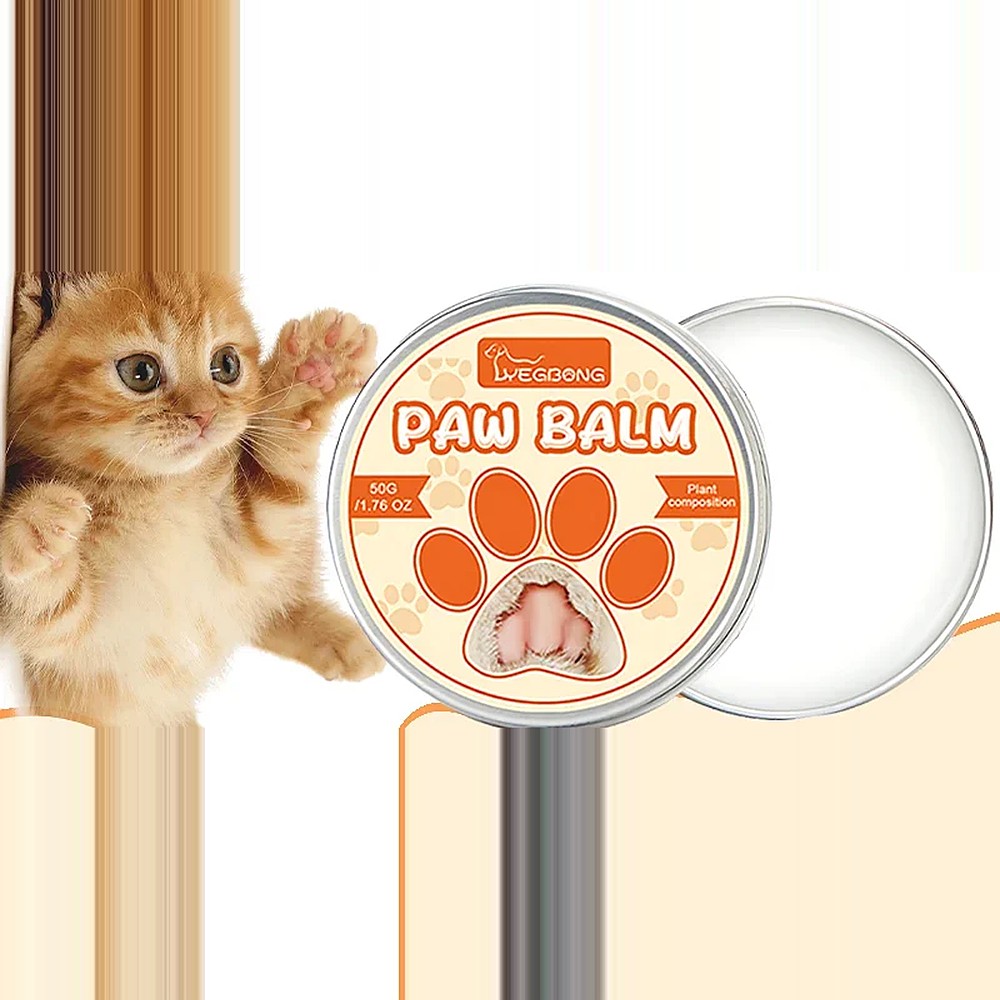 Boîte de baume ouverte à côté d'un chaton