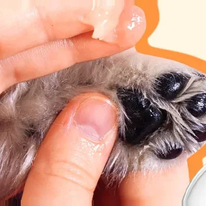 Application du baume au doigt sur le coussinet d'un chien