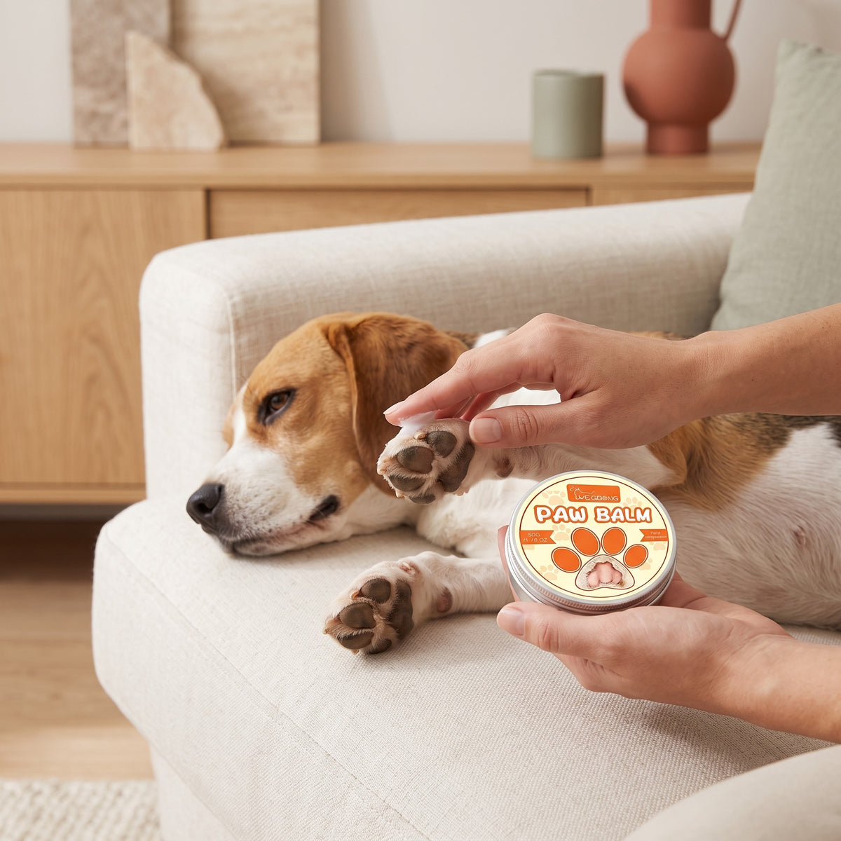 Baume appliqué sur les coussinets d'un beagle