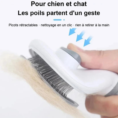 Les poils se decollent en un geste, pour chien et chat