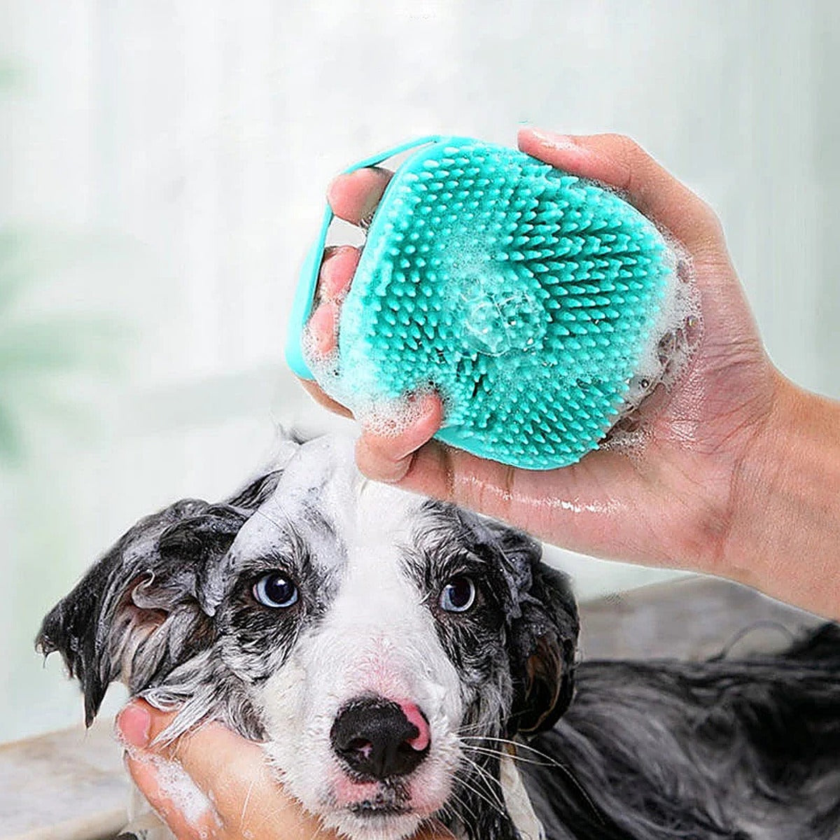 Chien lavé avec la brosse de bain en silicone à réservoir