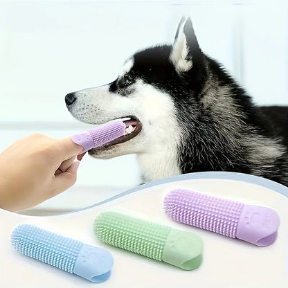 Brossette enfilée sur le doigt pour brosser les dents d'un husky
