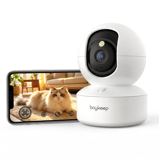 Caméra pour animaux et téléphone affichant un chat en direct
