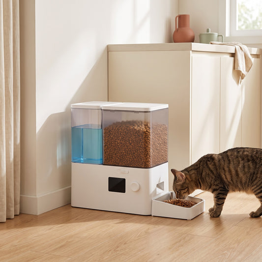 Chat tigré qui mange au distributeur 2-en-1 dans une cuisine claire