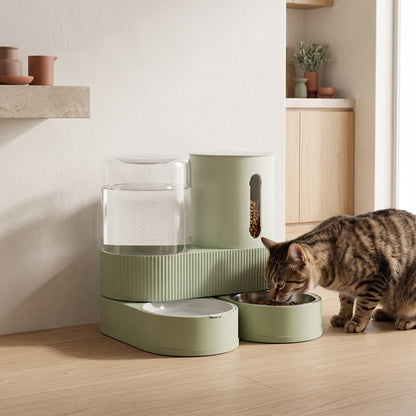 Chat tigré qui mange au distributeur gravité vert