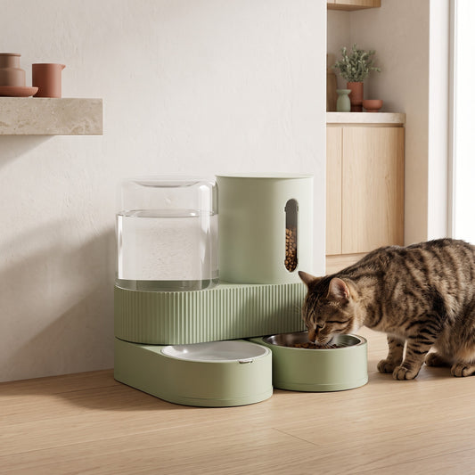 Chat tigré qui mange au distributeur gravité vert