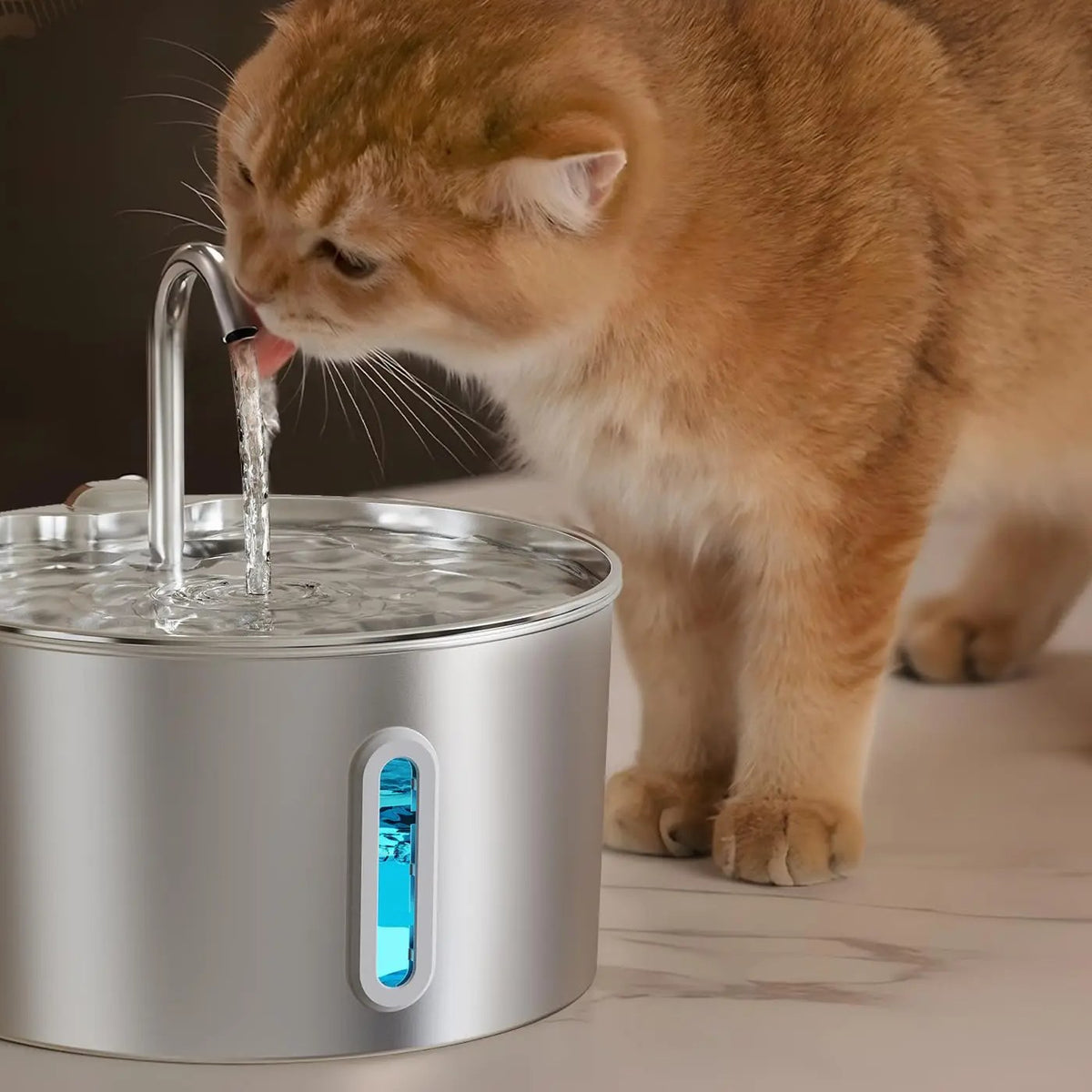 Fontaine à eau inox pour chat 2,2 L – Bec robinet, silencieuse