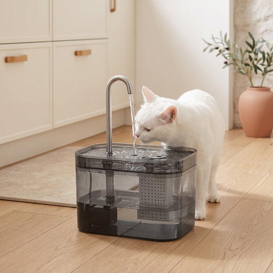 Chat blanc qui boit à la fontaine 1,5 L dans une cuisine