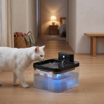 Chat blanc qui s'approche de la fontaine sans fil le soir