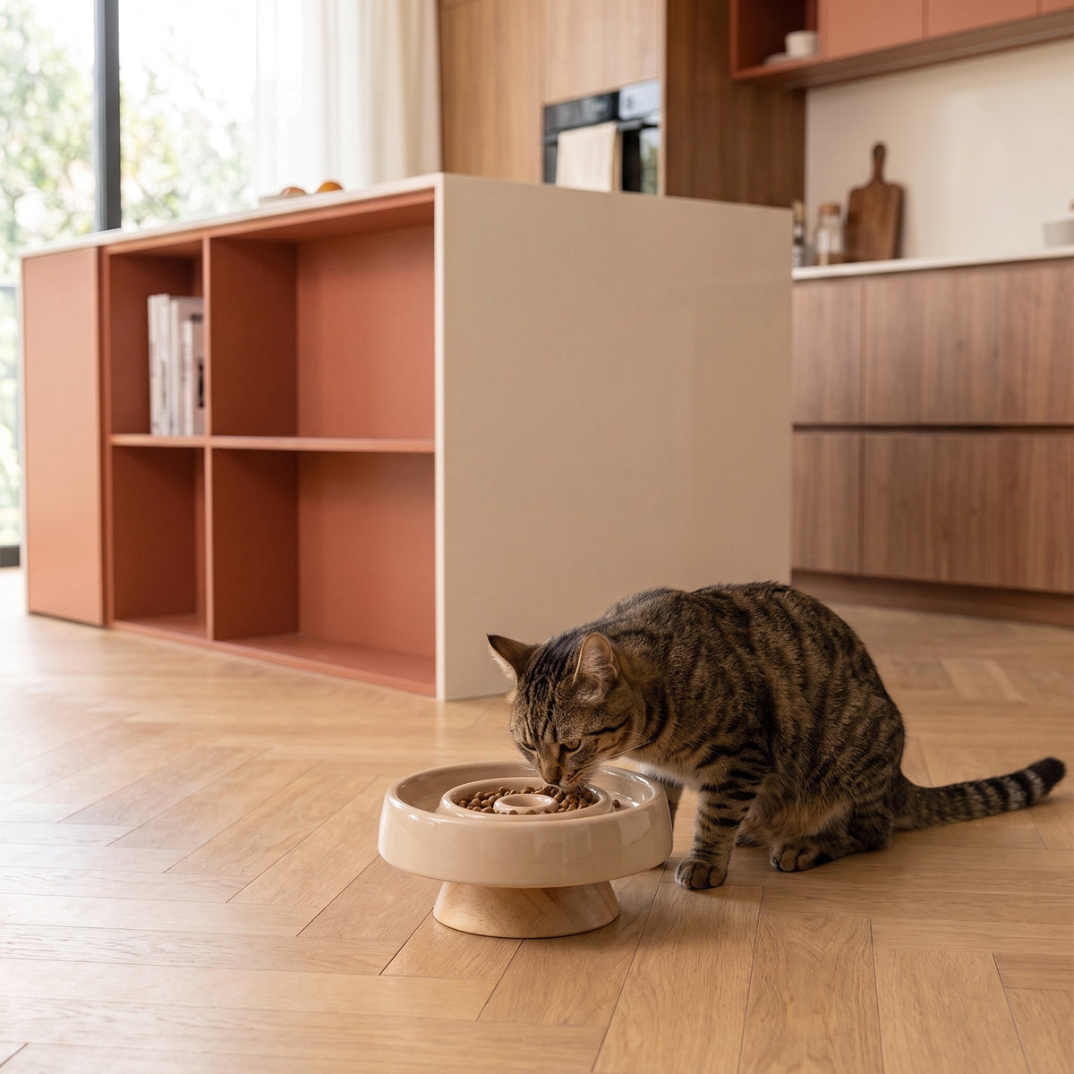 Chat qui mange dans la gamelle anti-glouton en céramique sur socle bois