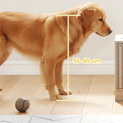 Golden retriever debout, hauteur au garrot de 55 à 65 cm, à côté du meuble gamelle