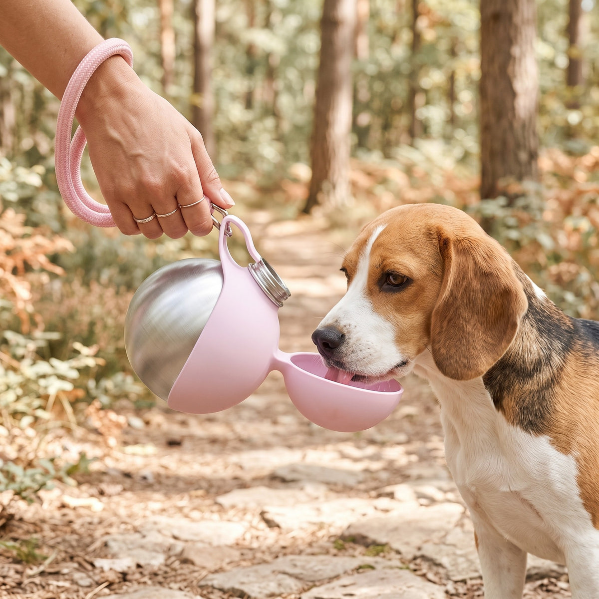 Beagle qui boit à la gourde 2-en-1 rose en forêt