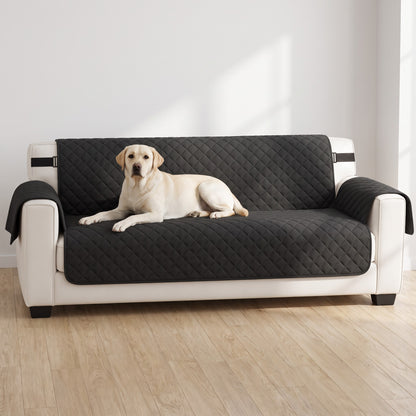 Labrador couché sur la housse de canapé noire