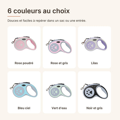 Les 6 couleurs de la laisse à enrouleur