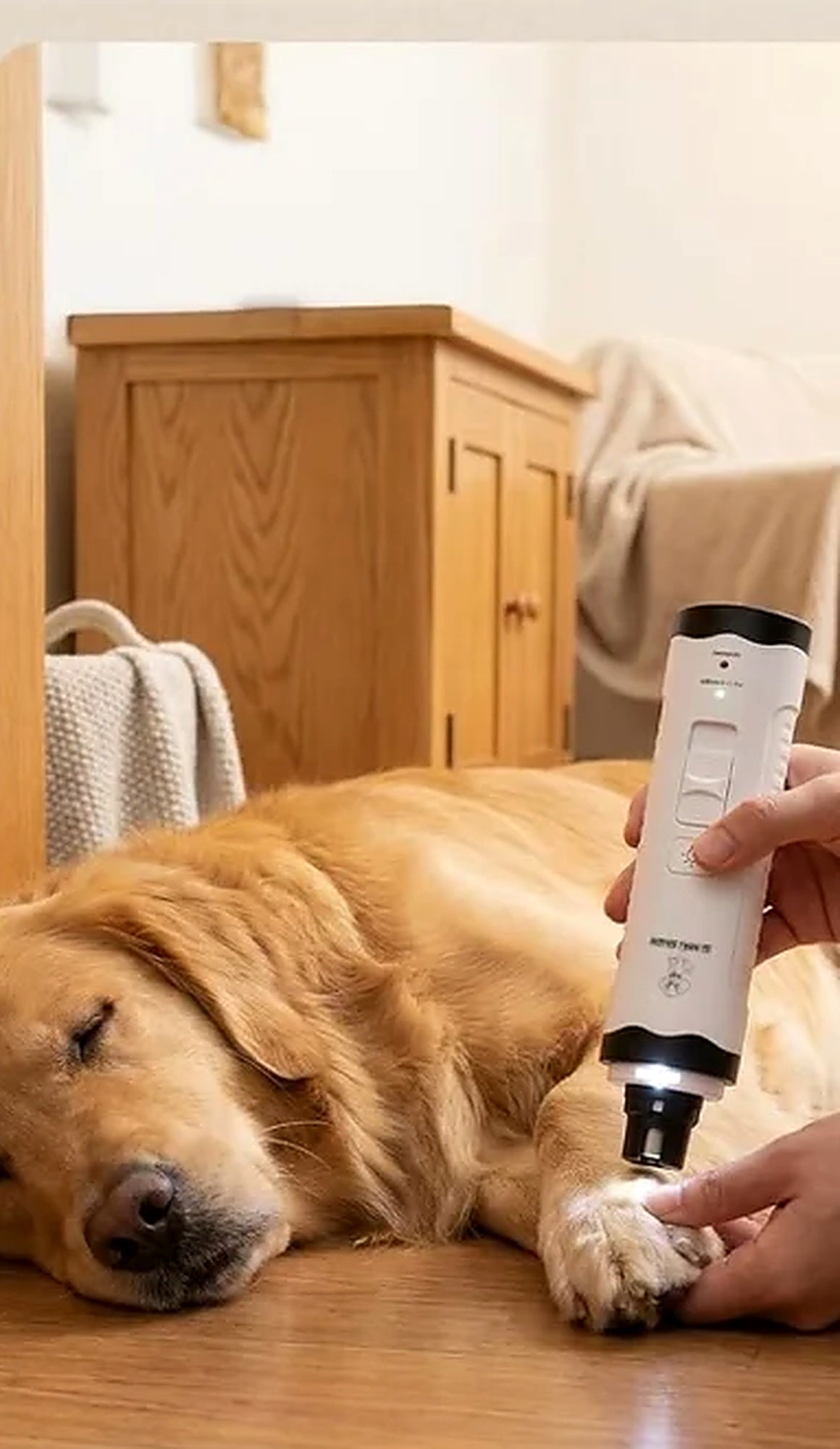 Chien endormi pendant le limage des griffes