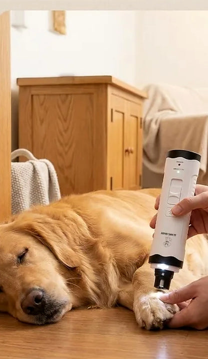 Chien endormi pendant le limage des griffes