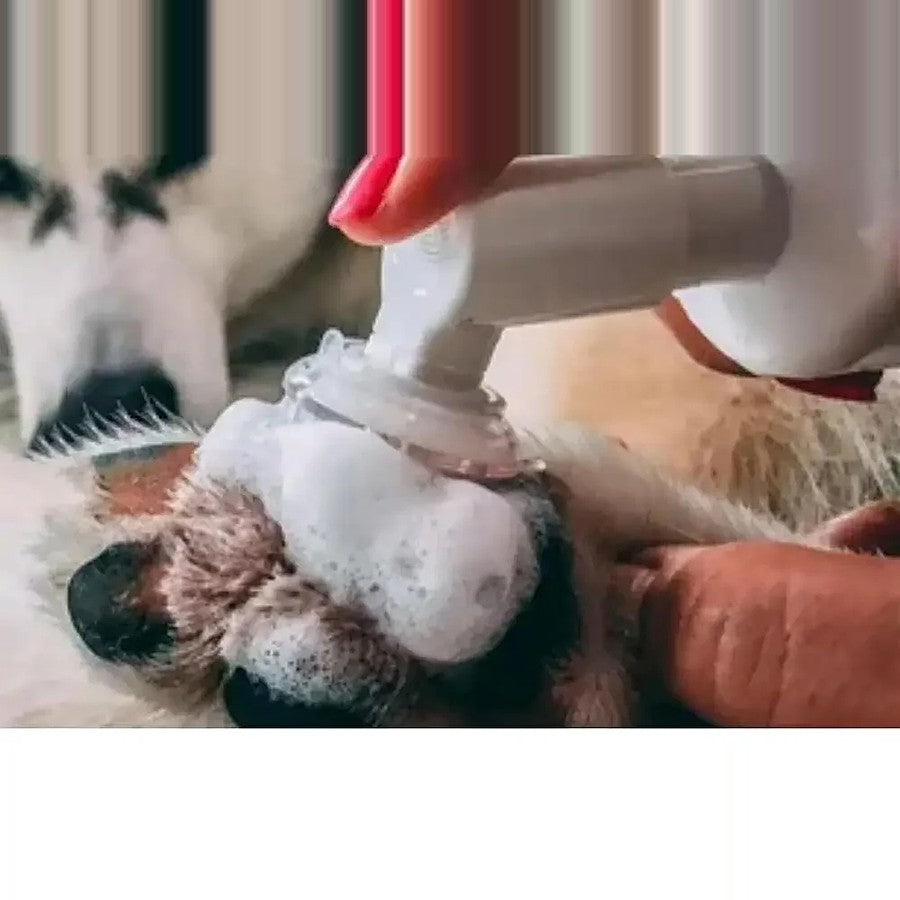 Mousse nettoyante pour pattes sans rinçage – Chien et chat, 100 ml