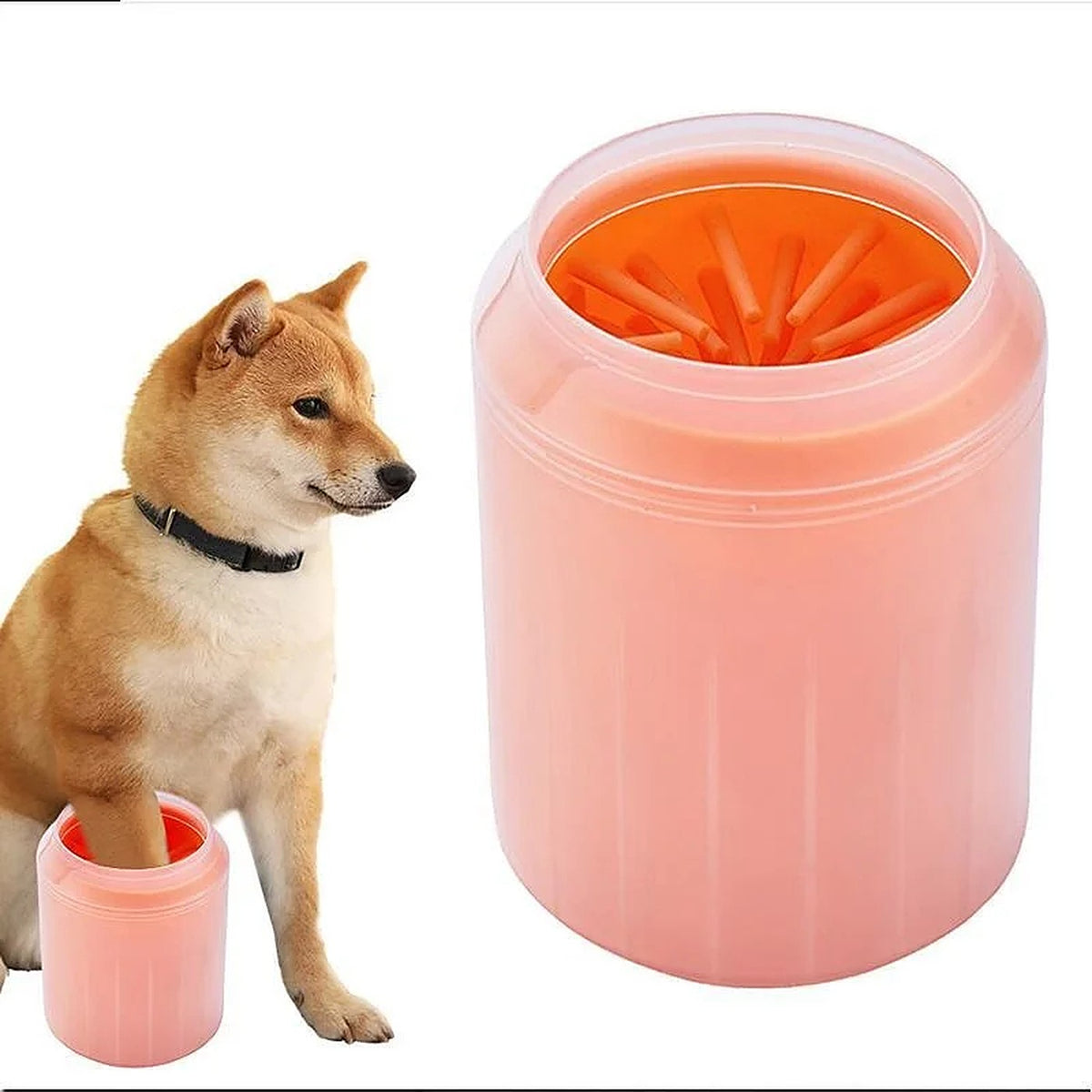 Chien Shiba a cote du nettoyeur de pattes, deux tailles