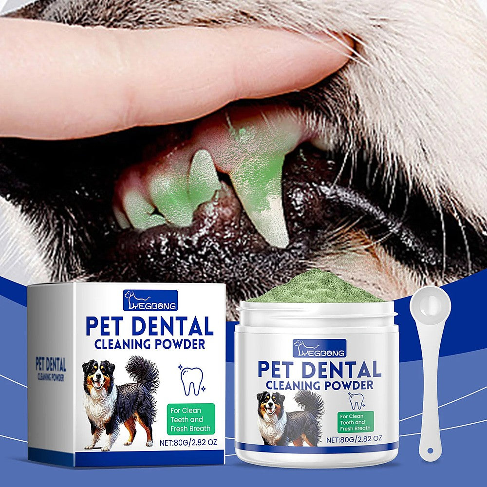 Poudre dentaire appliquée sur les dents d'un chien