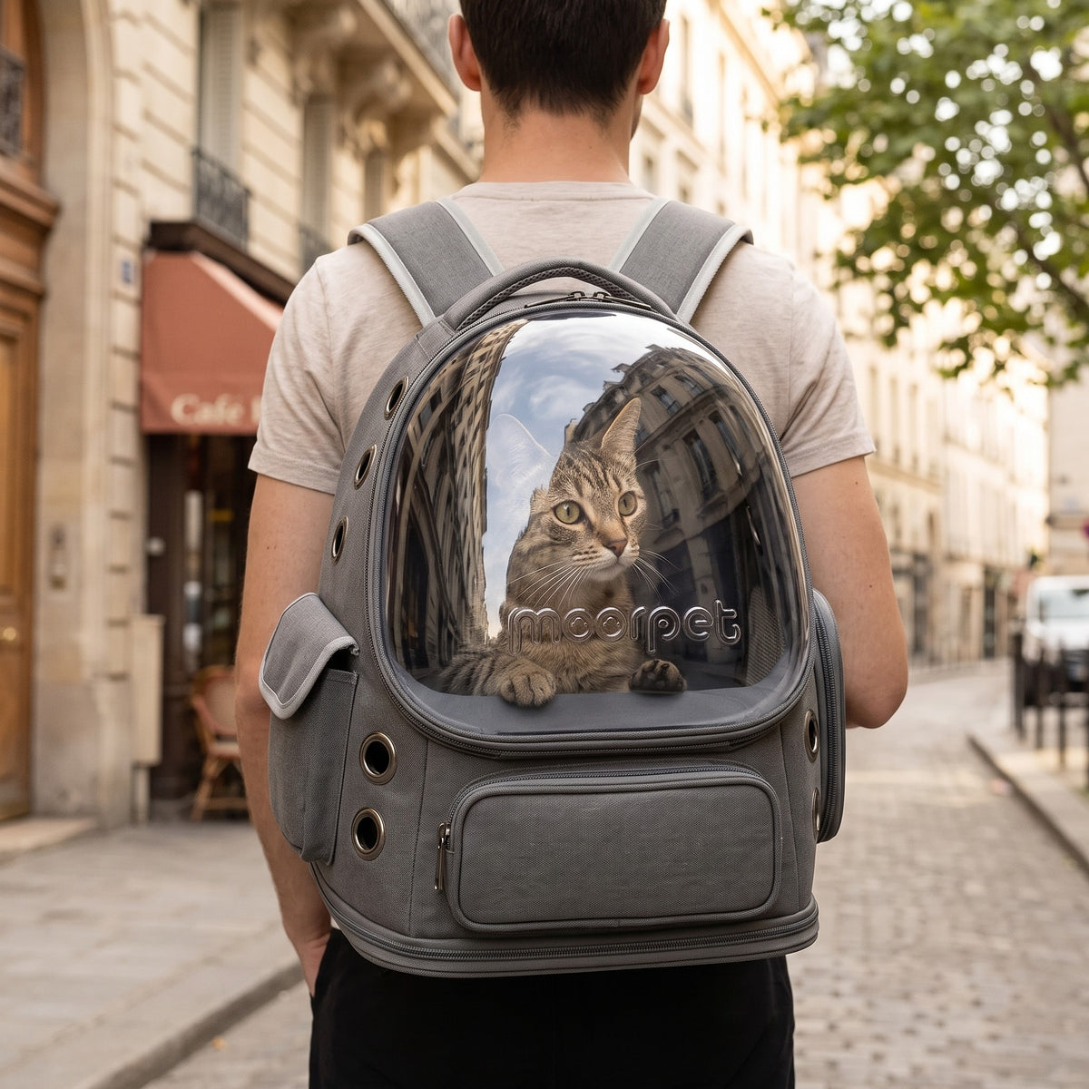 Chat qui regarde par le hublot du sac à dos gris en ville