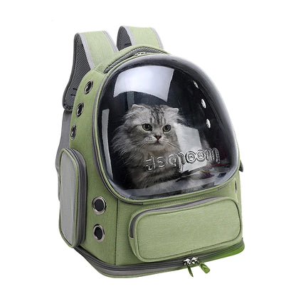 Chat installé dans le sac à dos vert sauge, façade transparente